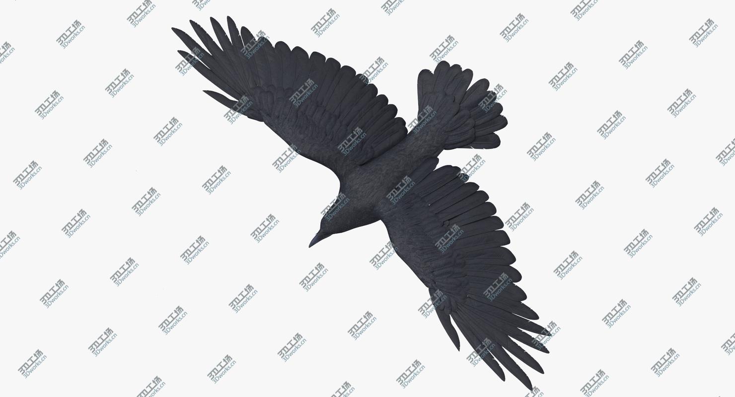 images/goods_img/2021040234/Crow 03/2.jpg